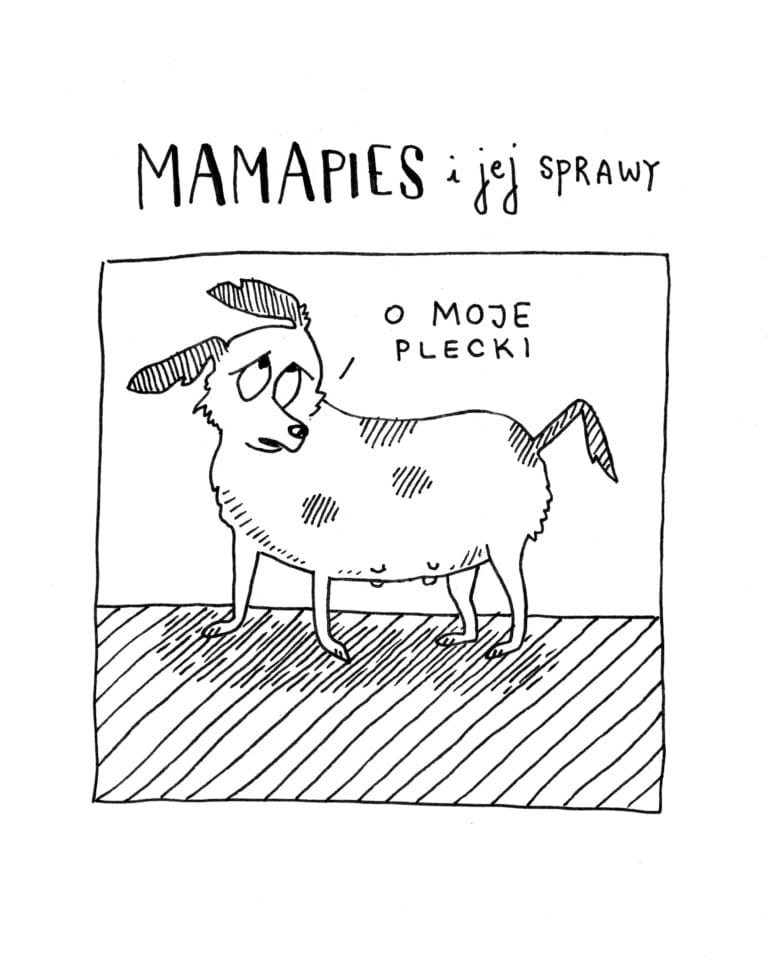 Ciąża, poród i połóg u psa. W jaki sposób pojawiają się na świecie małe pieski?