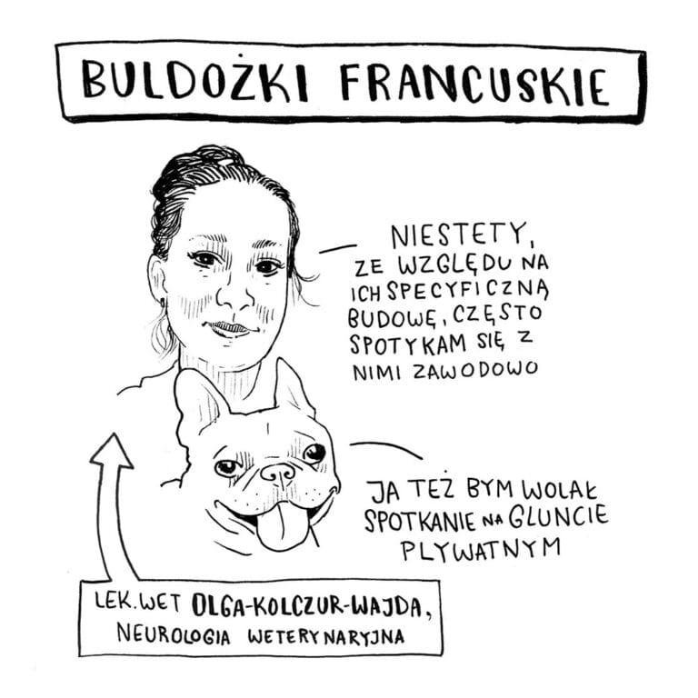 Choroby neurologiczne buldożków