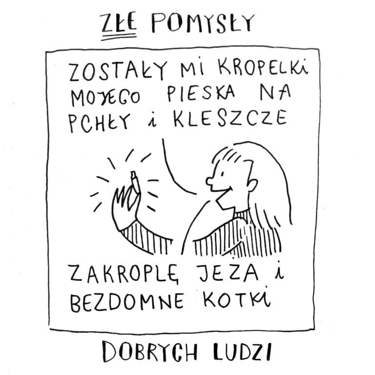 Permetryna dla kota? TO BARDZO ZŁY POMYSŁ!