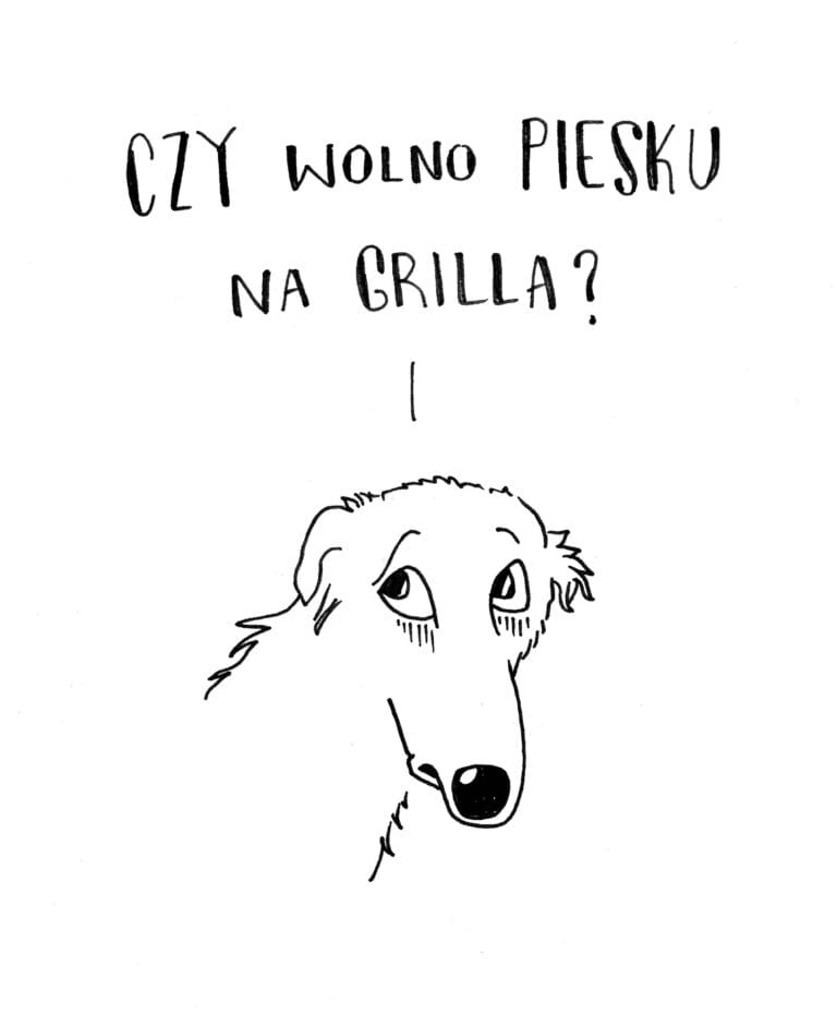 Czy wolno piesku na grilla? Pies i imprezy. Gdzie zabierać psa, a gdzie lepiej nie?