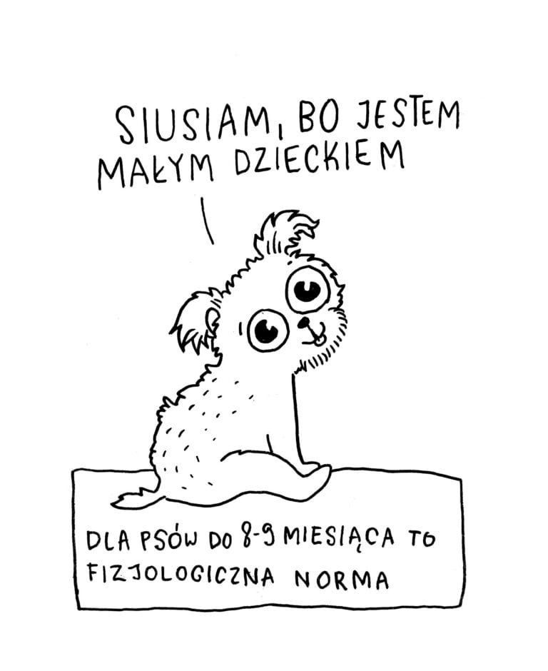 Dlaczego pies sika w domu?