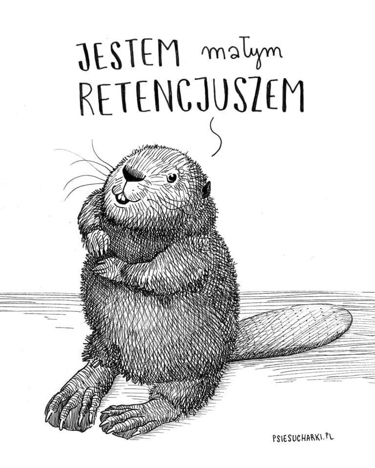 Bóbr, mały retencjusz