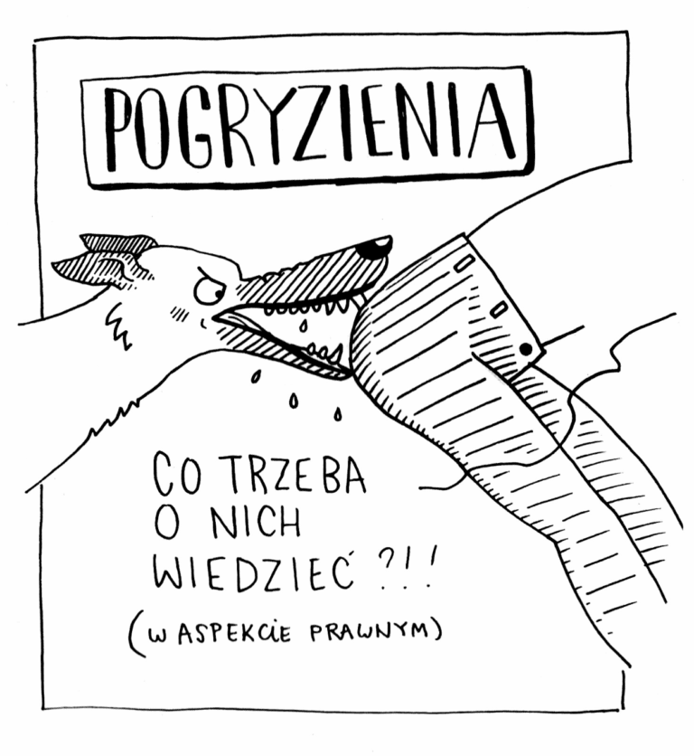 POGRYZIENIA – co z nimi robimy?