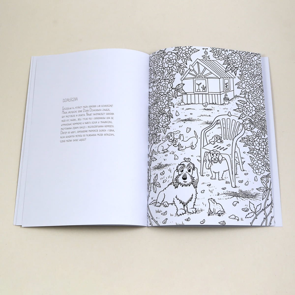 kolorowanka-dzialeczka kolorowanka-dzialeczka