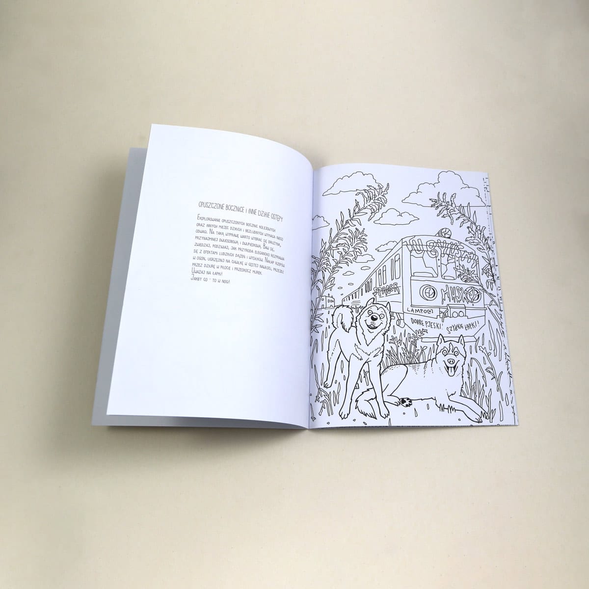 kolorowanka-huskie kolorowanka-huskie