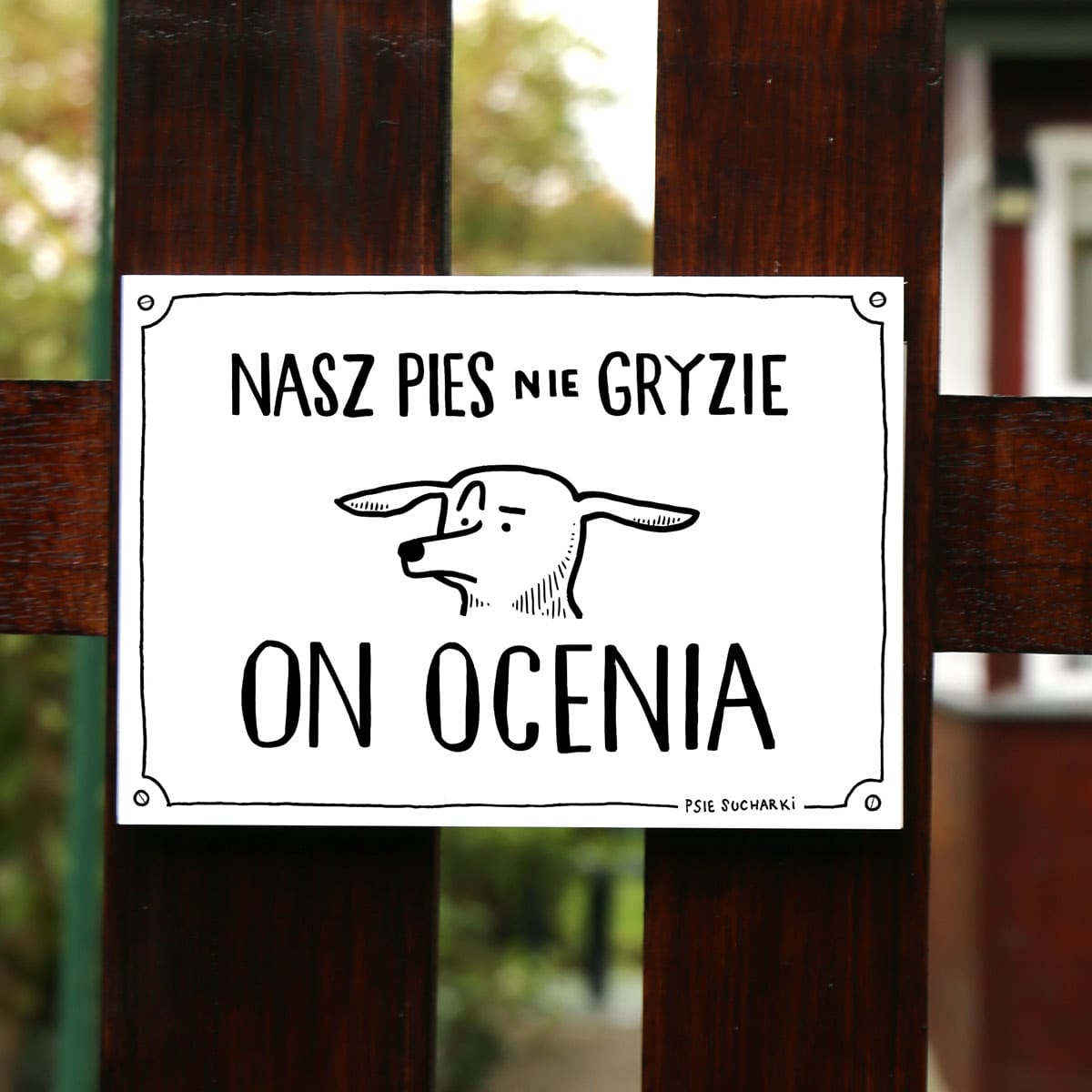 Nasz pies nie gryzie, on ocenia