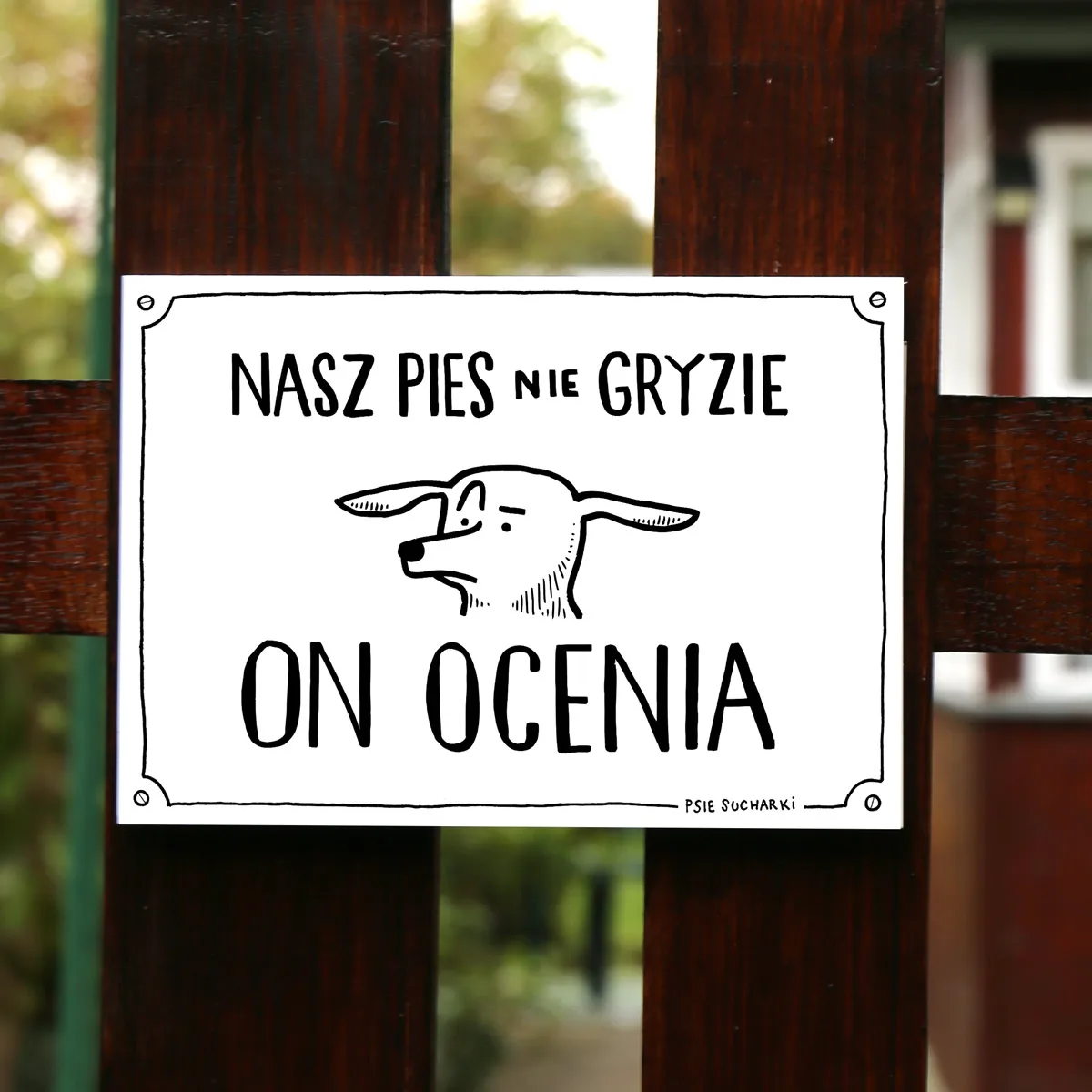 Nasz pies nie gryzie, on ocenia