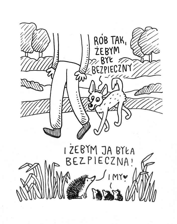 DZIKIE ZWIERZĘTA I TWÓJ PIES