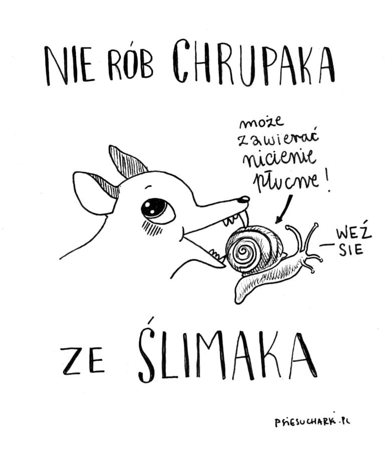 ŚLIMAK Z  TRUJĄCĄ WKŁADKĄ