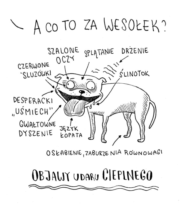 UDAR CIEPLNY